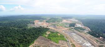 Fin De La Deforestation Causee Par L Importation De Produits Non Durables Gouvernement Fr