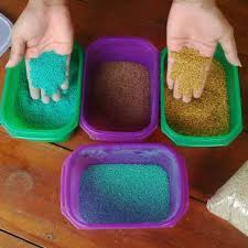 Jual bibit gajah mini, rumput gajah mini ukuran 25 x 25cm 16 lembar. Benih Rumput Gajah Mini Bibit Rumput Gajah Mini Shopee Indonesia