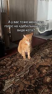 images?q=tbn:ANd9GcS3LQdwN7KFMWFA02jGfhK0e97fIkQ9a2ayGQ&s