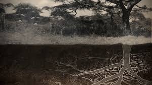 CATAPULTA: Selección oficial – FICUNAM