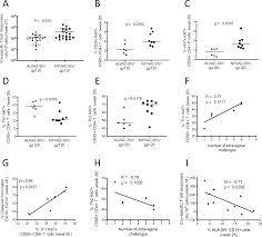 Kata kunci seorang alpha male adalah keyakinan! Engagement Of Monocytes Nk Cells And Cd4 Th1 Cells By Alvac Siv Vaccination Results In A Decreased Risk Of Sivmac251 Vaginal Acquisition