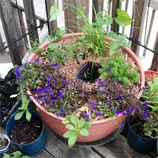 Make miniature diy flower pots from old bottle caps! 8 Diy Self Watering Planters Using Plastic Bottles Gardenoholic