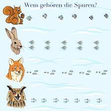 Tierspuren im schnee erzählen eine geschichte. Tierspuren Ratsel In 2021 Tierspuren Tiere Wilde Tiere