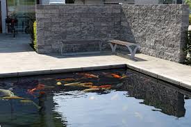 Moderner Koiteich Vor Firmengebaude In Lichtenfels Natur Pool Gartengestaltung Landschaftsbau