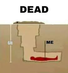 Saddam hussein used the un's oil for food program for his own ends, starving his own people and france and germany opposed the war because they had huge oil investments with saddam hussein. Dead Saddam Hussein S Hiding Place Know Your Meme