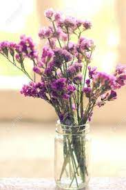 Limonium Sinuatum Statice Season June To July Uses Arrangements Fun Facts Perennial Full Sun Zones 8 10 Costco Flowers Dried Flowers Beautiful Flowers