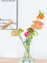 Moederdag Bij De Mommy Bloggers Bloemen Bloemenvazen Bloemplanten