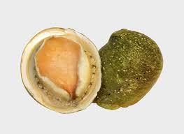 Quando l'ho incontrata per il film ho conosciuto una donna dolcissima ma già.minata nel. Abalone Pescheria I Love Ostrica