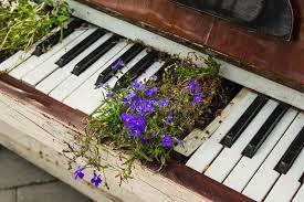 Memphis, tennessee hospitals and medical centers please contact us if you find any issues with this listing. 2 885 Piano Flowers Photos Free Royalty Free Stock Photos From Dreamstime