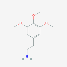 Though many peyote are casually cited in the literature as being false peyote it appears that a. Mescaline C11h17no3 Pubchem