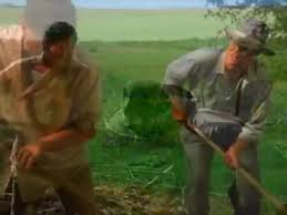 You can watch movies online for free without registration. Secondhand Lions Video Dailymotion