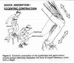 Eccentric Contraction The Secret Of A Good Jump Landing I Mean Jumping Is Not Only About Reaching Hights But Landing Elegantly And Safely