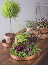 Plant Trays Round Plant Trays Copper Finish Plant Saucers Plant Tray Plant Saucers Plants