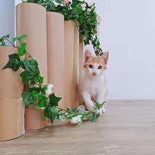 askids funny cat 貓比花嬌in 2021 funny cats cats funny