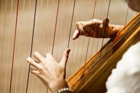 How does one learn to play the harp? How To Play The Celtic Harp A Beginner S Guide Celtic Harp Harp Harps Music