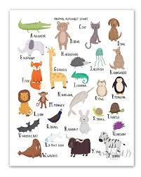 Animal Alphabet Chart A Z Art Print Illustration