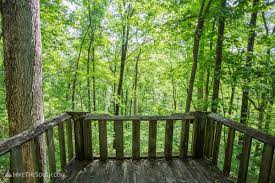 Chicopee Woods Trail System Hikethesouth