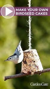 Millet water 1 1/2 c. Watch Our How To Video To Make These Homemade Birdseed Treats Birds Birdfeeder Gardenproject Howtovide Bird Feeders Bird Feeder Craft Homemade Bird Feeders