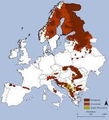 Asiatic Black Bear Range Map Maps On The Web Photo Europe Map European Map Historical Maps
