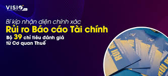 39 Chỉ Tiêu đánh Giá Rủi Ro Báo Cáo Tài Chính Mà Cơ Quan Thuế áp Dụng -  VisioEdu