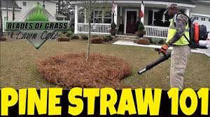 Pine Straw How To Install Lay Roll Put Dow Tuck Buy Maintain Blow Coverage Area Youtube In 2020 Straw Dow Outdoor Areas