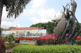 Kebun binatang ragunan merupakan taman satwa tertua di indonesia, tempat ini jadi destinasi keluarga paling diminati oleh warga jakarta dan sekitarnya. Tempat Piknik Di Surabaya Yang Hadirkan Keindahan Alam Reddoorz Blog