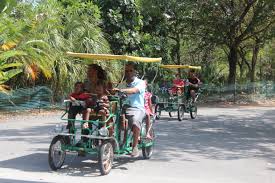 Zoomiami, manager at zoo miami, responded to this reviewresponded may 17, 2017. 5 Things Not To Do On Your First Visit To The Miami Zoo Precious Mommy