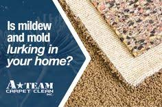 When it comes to auto repair in norman, ok, it's all about earning loyalty and trust by doing our very best every day. 140 Before And After Ideas In 2021 Carpet Repair Water Damage Repair How To Clean Carpet