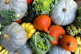 Le Potimarron Mon Peche Mignon A L Arrivee De L Automne Family Cuisine Squash Varieties Organic Vegetables Growing Squash