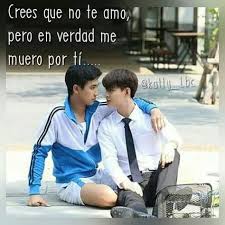 Todo El Tiempo Fuiste Tu Finalizada Pero A Ti Te Amo En 2020 Amor Por Casualidad Novelas Verdades