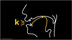 Definition of methodical adjective in oxford advanced learner's dictionary. French Pronunciation Course Online Sound Like A Native Free Course