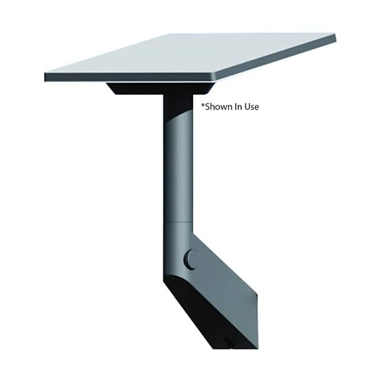 Starlink Mini Pivot Mount