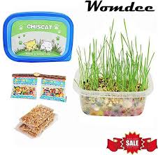 This looks like a fun little gardening project soon. Louis Will Cat Grass Growing Kit Organic Cat Grass Seeds With Planter And Soil Natural Hairball Control And Hairball Remedy For Cats Price From Jumia In Nigeria Yaoota