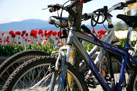 Moving is the process of a villager moving in or out of the player's town. 5 Best Stanley Park Bike Rentals For Biking Stanley Park Sand In My Suitcase