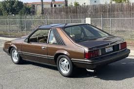 Image result for Dark Brown 1982 Fairmont