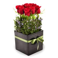 Maybe you would like to learn more about one of these? Florists Auckland Same Day Flower Delivery Tomuri Co Tomuri Co Floral Designs