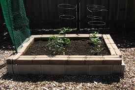 Cinder blocks are offered in many dimensions and you may set them in various techniques. The Quick And Easy Way To Build A Cinder Block Raised Bed Garden And Happy