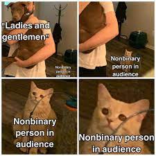 Updated daily, for more funny memes check our homepage. Lgbtq Memes Nonbinary Memes Part 1 Wattpad