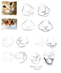 We did not find results for: Simplified Example Of Cat Nose Mouth Cat Drawing Tutorial Animal Drawings Drawings