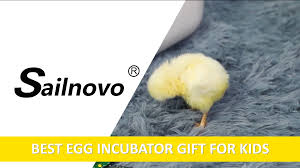 Amazon.com: Egg Incubator, Incubators for Hatching Eggs with Fully  Automatic Turning and Humidity Control, 90W Digital Clear Chicken Duck Egg  Incubator (Yellow) : Industrial & Scientific