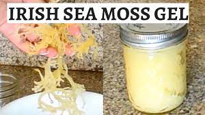 With sea moss gel, a little bit goes a long way. Irish Sea Moss Gel How To Make Vegan Dr Sebi Inspired The Vegan Jamaican Youtube
