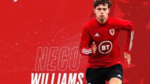 'there's nowhere better to learn than at liverpool'. Cefn Albion Fc Heap Glowing Praise On Local Lad Neco Williams After Wales Debut Grassroots North Wales Championing Local Sport Dave Jones Sportswriter Nwsport Co Uk