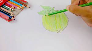 Download kumpulan gambar dan foto hd dengan kualitas terbaik. Contoh Gambar Mewarnai Jambu Biji Kataucap