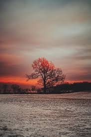 Download a nature wallpaper today! Page 4 Portraits Of Nature Hd Wallpapers Free Download Wallpaperbetter