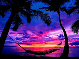 Beach sunset purple purple sunset beach sunset purple beach nature flower flowers sea water background flora bloom ocean sky landscape sun garden colorful spring evening dusk blossom light beautiful holiday petal night tulips green tulip vibrant holland keukenhof plant decoration dark fresh. Purple Tropical Sunset Beach Wallpaper