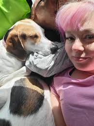 The appeal of long-distance velomobile riding