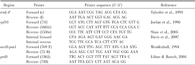 Image result for Tricalysia schliebenii