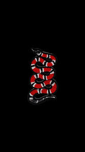 gucci snake iphone 7 wallpapers top
