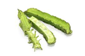 Image result for 果阿豆