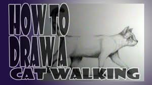 If your cat is walking with an arched back it may mean that the cat is stretching her muscles, sensing danger, preparing to pounce on prey, or she could be experiencing pain in cats will usually arch their back after a nap or long sleep to stretch their muscles just as we would upon waking up in the morning. How To Draw A Cat Walking Youtube